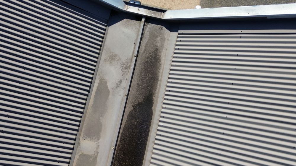 Gutters, sealant and the damp that timber pests follow