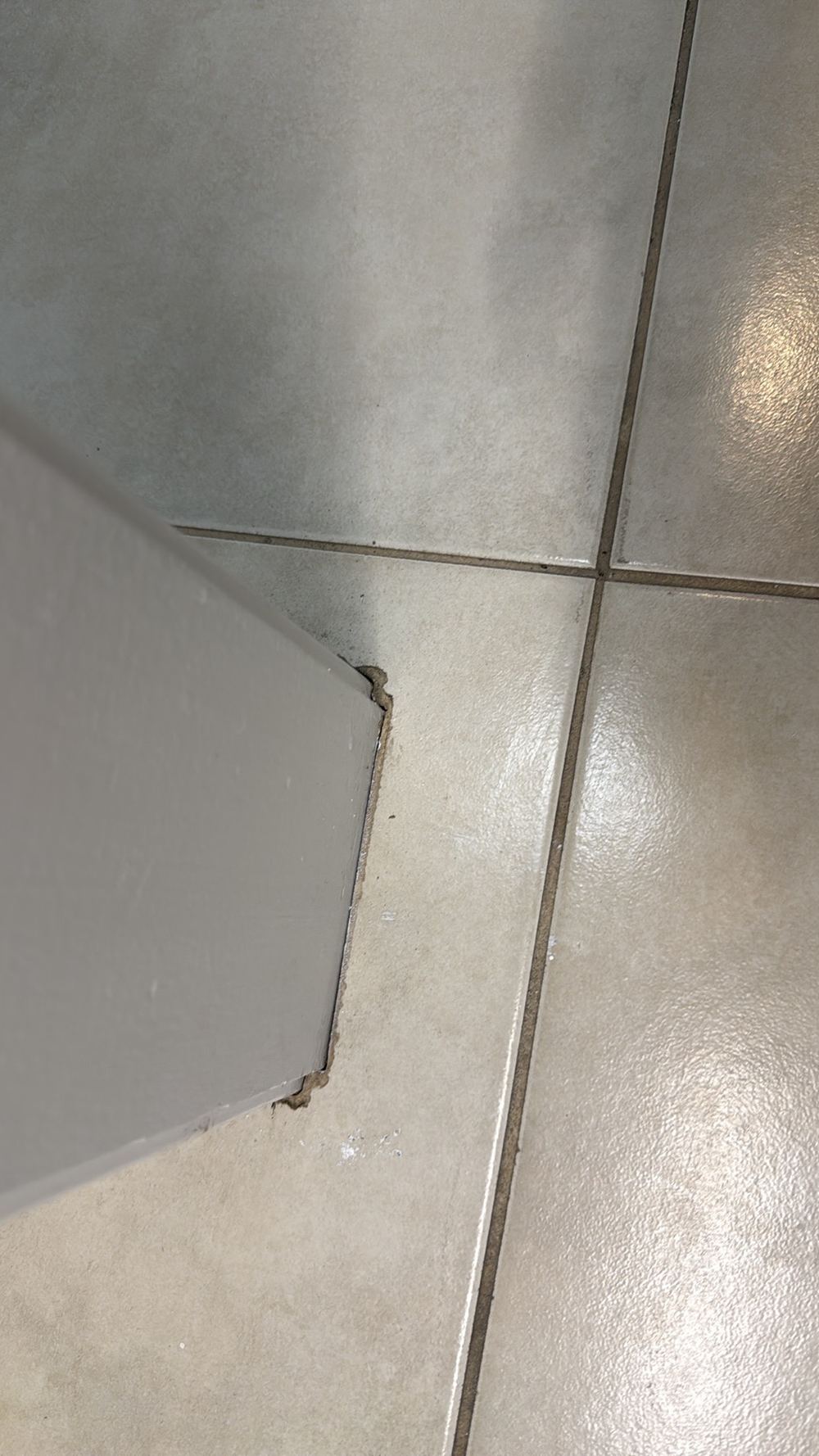 Damp, leaks and the mould standard in Truganina rentals